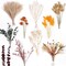90Pcs Fall Dried Pampas Grass Bouquet Decor Autumn Decorations Natural Fall Dried Flowers Bouquet Floral Arrangements for Boho Wedding Party Thanksgiving Table Centerpieces Home Vases Autumn Decor